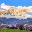 林芝旅游 缩略图 3