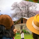 林芝旅游 缩略图 11