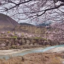 林芝旅游 缩略图 6