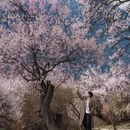 林芝旅游 缩略图 3