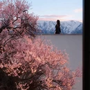 林芝旅游 缩略图 2