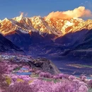 林芝旅游 缩略图 1