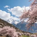 林芝旅游 缩略图 4