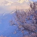 林芝旅游 缩略图 11