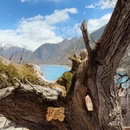 林芝旅游 缩略图 4