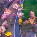 林芝旅游 缩略图 3