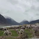 林芝旅游 缩略图 10