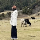 林芝旅游 缩略图 16