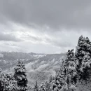 林芝旅游 缩略图 17