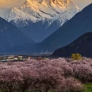 林芝旅游 缩略图 1