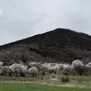 林芝旅游 缩略图 12