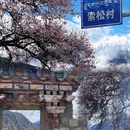 林芝旅游 缩略图 2