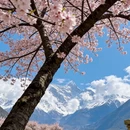 林芝旅游 缩略图 3
