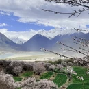 林芝旅游 缩略图 2