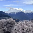 林芝旅游 缩略图 1