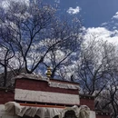 林芝旅游 缩略图 10