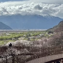林芝旅游 缩略图 9