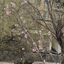 林芝旅游 缩略图 11