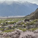 林芝旅游 缩略图 10