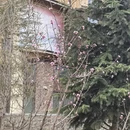 林芝旅游 缩略图 13