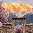林芝旅游 缩略图 9