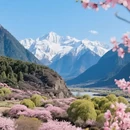 林芝旅游 缩略图 2