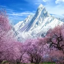 林芝旅游 缩略图 2