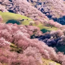 林芝旅游 缩略图 5