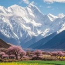 林芝旅游 缩略图 3
