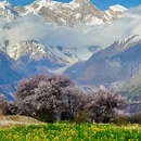 林芝旅游 缩略图 3