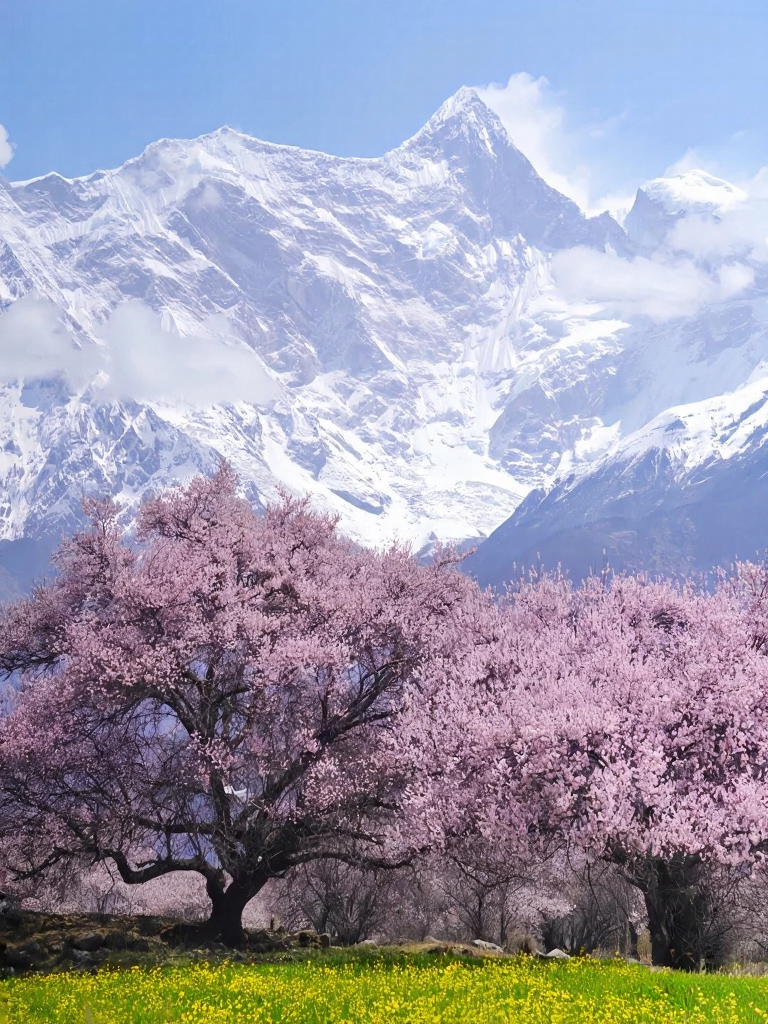 林芝旅游