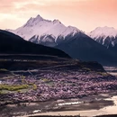 林芝旅游 缩略图 7