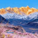 林芝旅游 缩略图 1