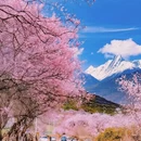 林芝旅游 缩略图 3