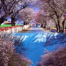 林芝旅游 缩略图 4