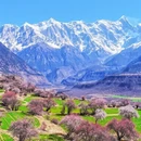 林芝旅游 缩略图 3