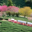 龙岩旅游 缩略图 1