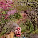 龙岩旅游 缩略图 3