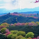 龙岩旅游 缩略图 2