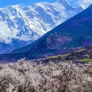 林芝旅游 缩略图 5