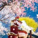林芝旅游 缩略图 7