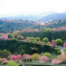 龙岩旅游 缩略图 6