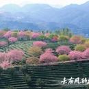 龙岩旅游 缩略图 5