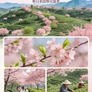 福州旅游 缩略图 3
