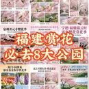 福州旅游 缩略图 1