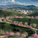 福州旅游 缩略图 1