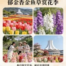 福州旅游 缩略图 8