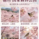 福州旅游 缩略图 9