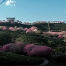 福州旅游 缩略图 7