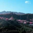 福州旅游 缩略图 6
